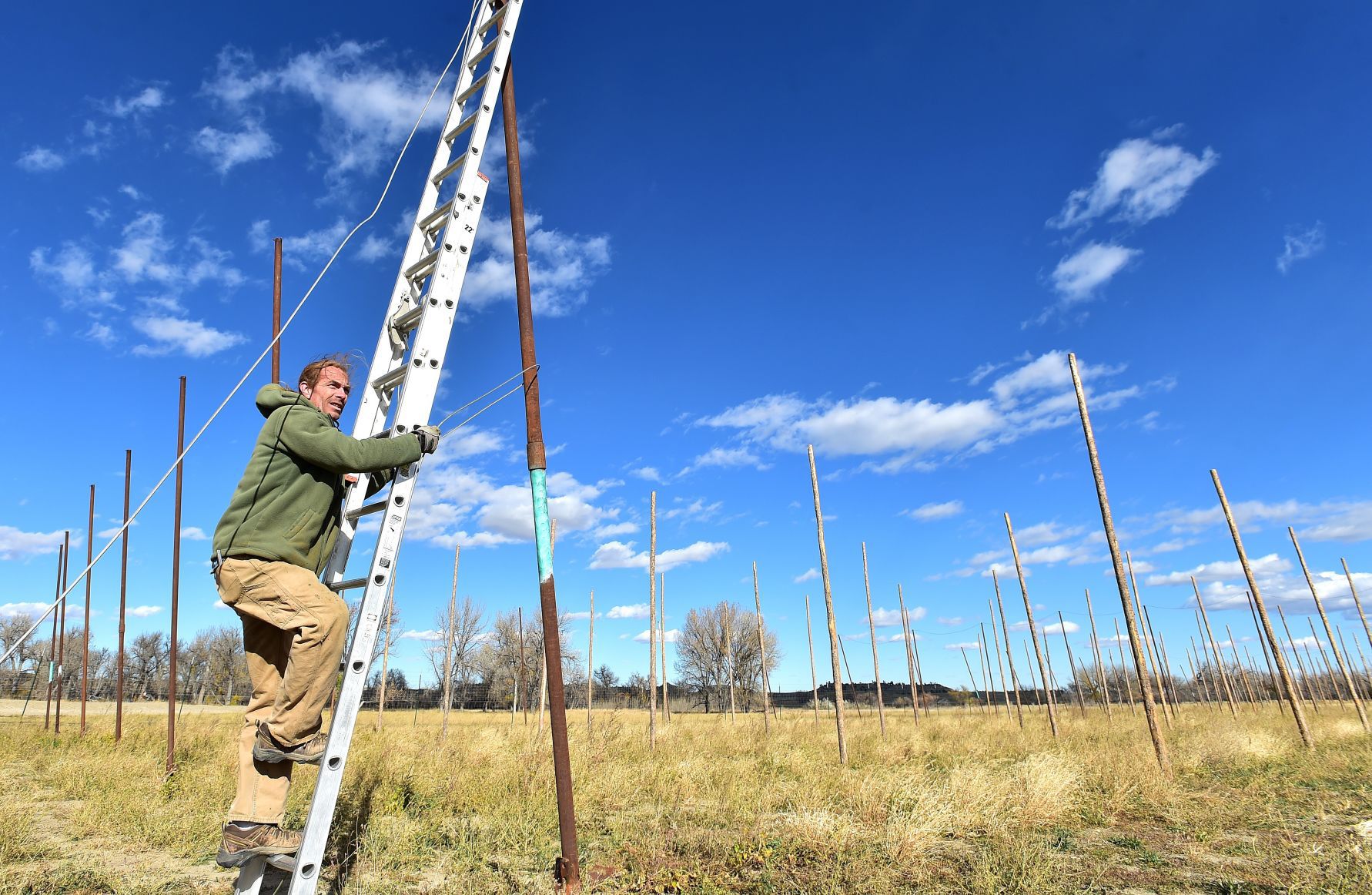 Hop farm ladder